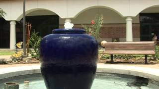 HCC Beat - Butterfly Garden