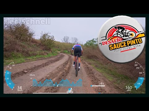 Sauce Pinto 2025 - Resumen