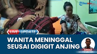 Warga Kecamatan Palue Sikka NTT Jadi Pasien Bergejala Rabies, Meninggal Dunia seusai Digigit HPR