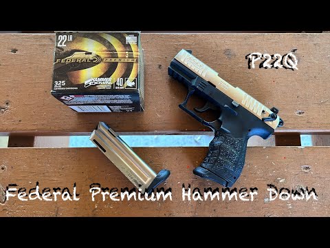 Testing Federal Premium Hammer Down .22LR in my most finicky pistol-Walther P22Q- not a good match