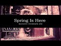 Spring Is Here (mainichi standard #56)
