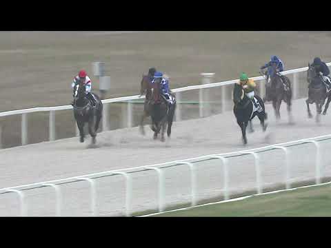 2021.11.14. 08. futam - MAKAAM HENDIKEP (II.o.) (szintetikus pálya)