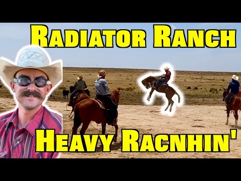Radiator & FlatRock Ranchin on BIRDMAN - Rodeo Time 306
