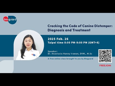 Cracking the Code of Canine Distemper: Diagnosis and Treatment