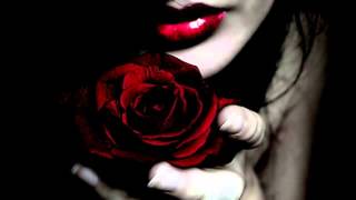 Accept - No Time To Lose