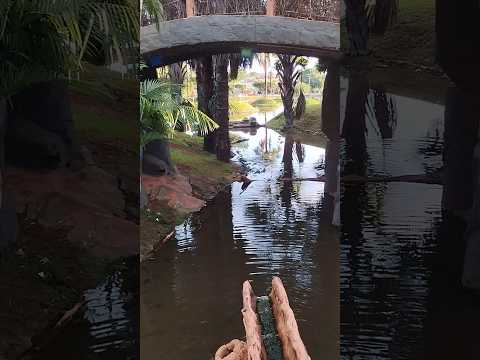 23/03/26, São Luís de Montes Belos, GO.#turismo #viagem #goias #saoluisdemontesbelos