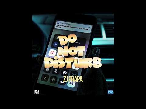 ZJ Prapa - Do Not Disturb (Official Audio)
