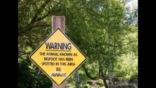 Wolf Creek Sasquatch &amp; River Road Bigfoot Encounters