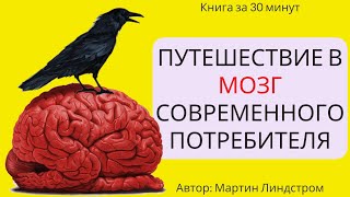 Пересказ и идея книги: Путешествие в мозг потребителя #1