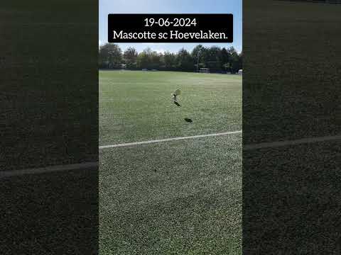 Mascotte sc Hoevelaken | #mascotte #dogs #dogshorts #football #shortsvideo #shortsfeed  #fyp #foryou
