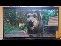Lady And The Tramp 2019 Tramp Helps Lady
