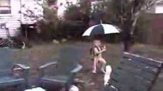 The Samples  Watching the wheels