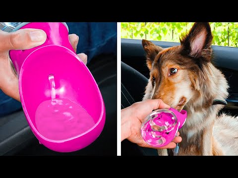 멋진 개 가젯과 사랑스러운 고양이를 위한 공예 🐈🐕 천재적인 반려 동물 해킹들이 당신의 생활을 더 편리하게 만들어줄 것입니다.