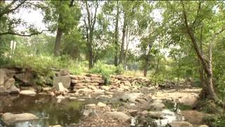 Document Arlington Project 2012