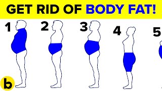 6 Types Of Body Fat And How To Get Rid Of It