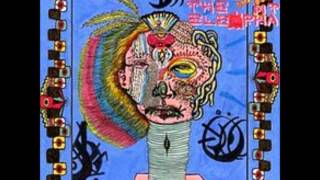 Carry Me In-CageThe Elephant