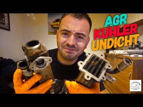 EGR cooler leaking | Exhaust and coolant | #6