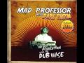 Mad Professor ft. Sly & Robbie - Down In Favela