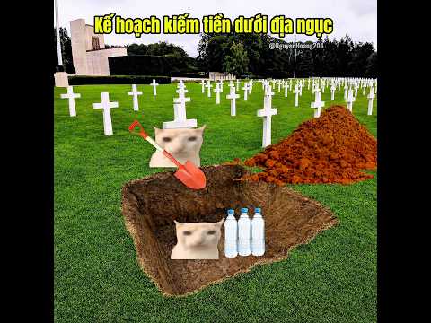 Kế hoạch kiếm tiền thông minh #meme #catmeme