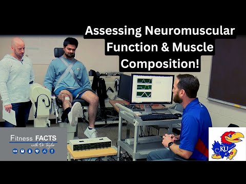 Assessing Neuromuscular Function & Muscle Composition in the KU Neuromechanics Lab!
