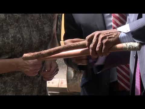 EPA Children’s Health Month