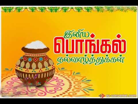 MOHAN RAJ P Pongal wishes