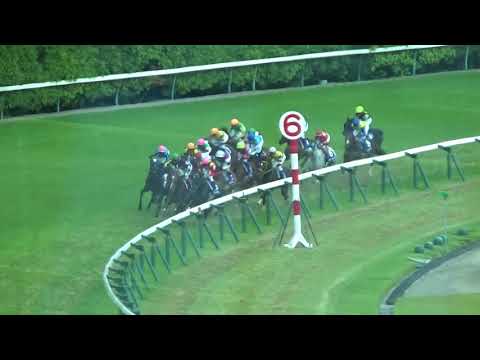 2017 安田記念 サトノアラジン YASUDA MEMORIAL Satono Aladdin