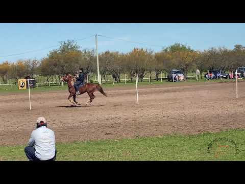 Bautista Silva Ruiz en RS Kaiser Lil de EL RINCÓN de los CABALLOS.  Estacas Juveniles.