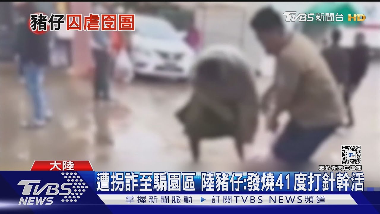 豬仔揭密電詐園 跳樓逃跑遭關狗籠 高燒41度打點滴被逼繼續騙