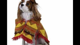 Mel Waiters- Smaller The Club