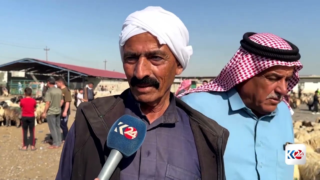 ڤیدیۆ | مووسل: گرانبوونا بەهایێ ئاژەلی کارتێکرن ل بازارێ وی کریە