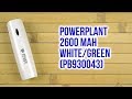 PowerPlant PB930043 - відео