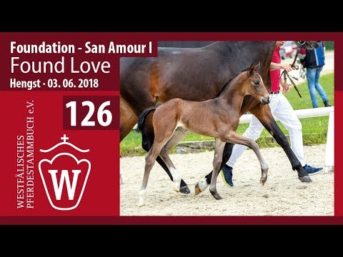 126 Found Love HF v. Foundation - San Amour I