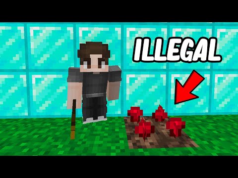 I Started An Illegal Business on This Minecraft SMP...