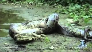 ASI TRAGA EL NUEVO PRI Y LA MAFIA DEL PODER AL PUEBLO DE MÉXICO