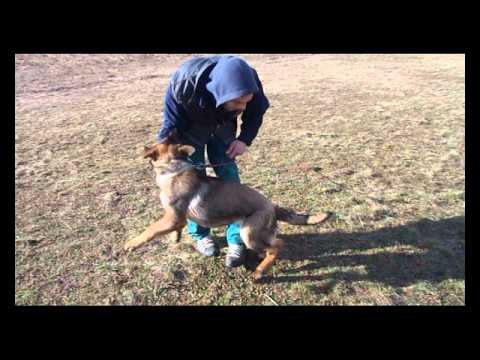 Kalimero Aykmar 5 6 months