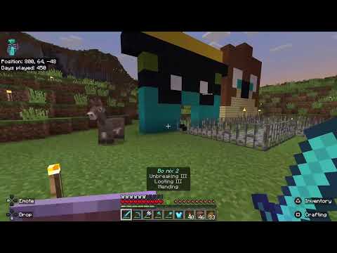 Naincraft Part 7 killed the ender dragon again ￼