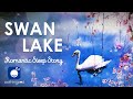 Bedtime Sleep Stories | 🦢 Swan Lake 👸| Romantic Sleep Story | Relaxation for Grown ups | Tchaikovsky