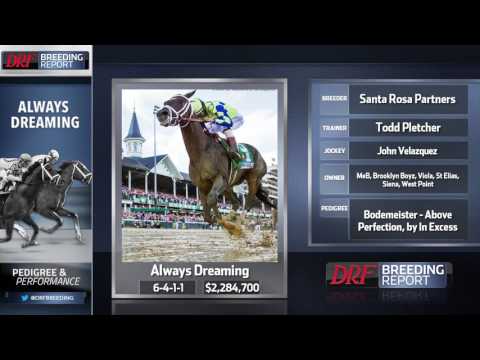 DRF Breeding Report - Always Dreaming (5-9-17)