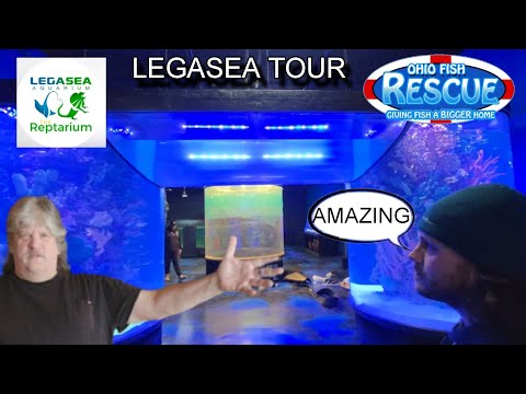 OFR GOES TO THE LEGASEA AQUARIUM