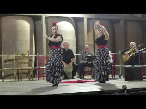 La 51ª Limoná de Versos Alcaidianos rinde homenaje a Lorca en Valdepeñas