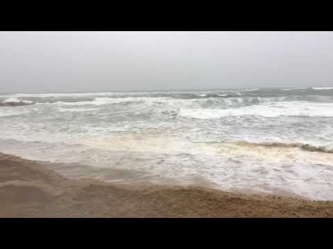 whitecap lane sandwich