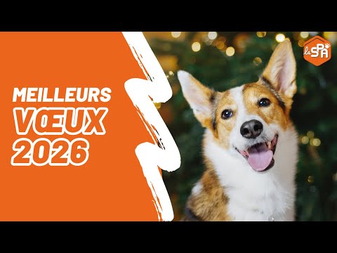 180 years of commitment to animals: thank you all and look forward to 2026!