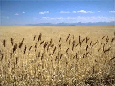 John Fahey - Bury Me Not On the Lone Prairie