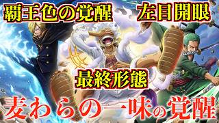 【ワンピース】麦わらの一味の覚醒！ルフィの最終形態・ゾロの左目開眼・サンジの覚醒がヤバい ※最新話ネタバレ注意