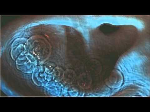 Pink Floyd - One of These Days (432hz)