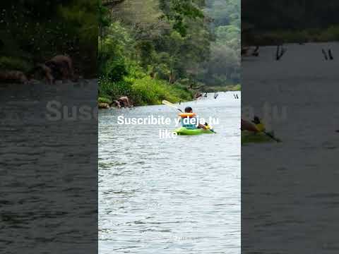 Campo Ramón Misiones