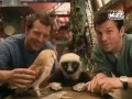 Zoboomafoo Cap 11 Criaturas Feroces
