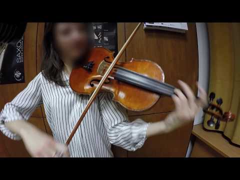 Josef Polák Violin 1926 Natural image 9