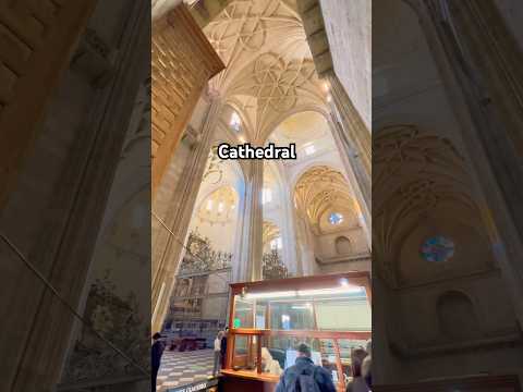 es la Santa Iglesia Catedral de Nuestra Señora de la Asunción y de San Frutos #church #catholic